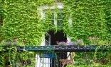 Amico - The Garden Managers Green Walls